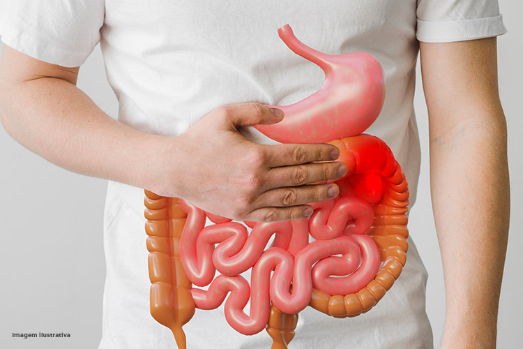 SISTEMA DIGESTIVO: Chelidonium D5 + Carduus marianus D4